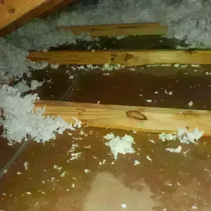 Attic Water Damage in Red Hook, NY